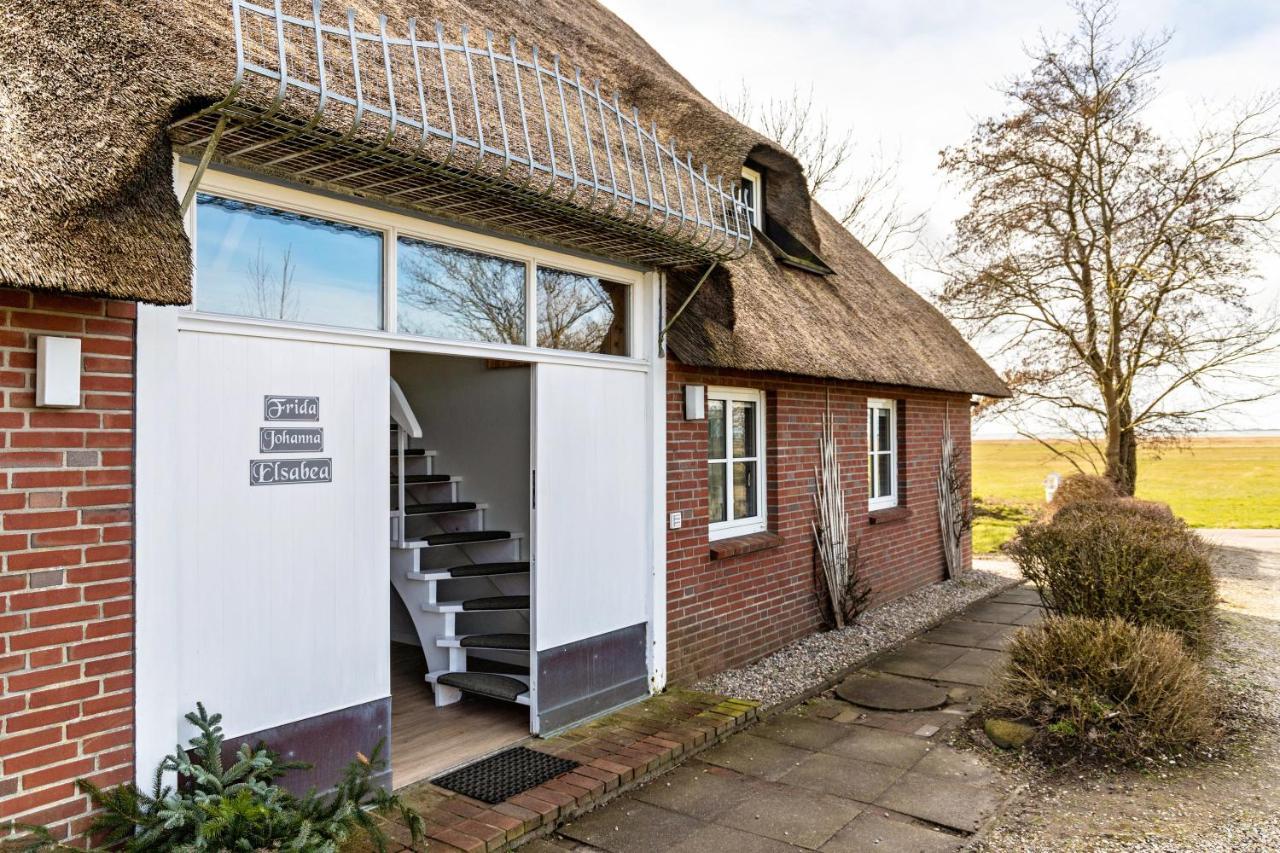 Schipp Landen Johanna * Husum (Schleswig-Holstein)